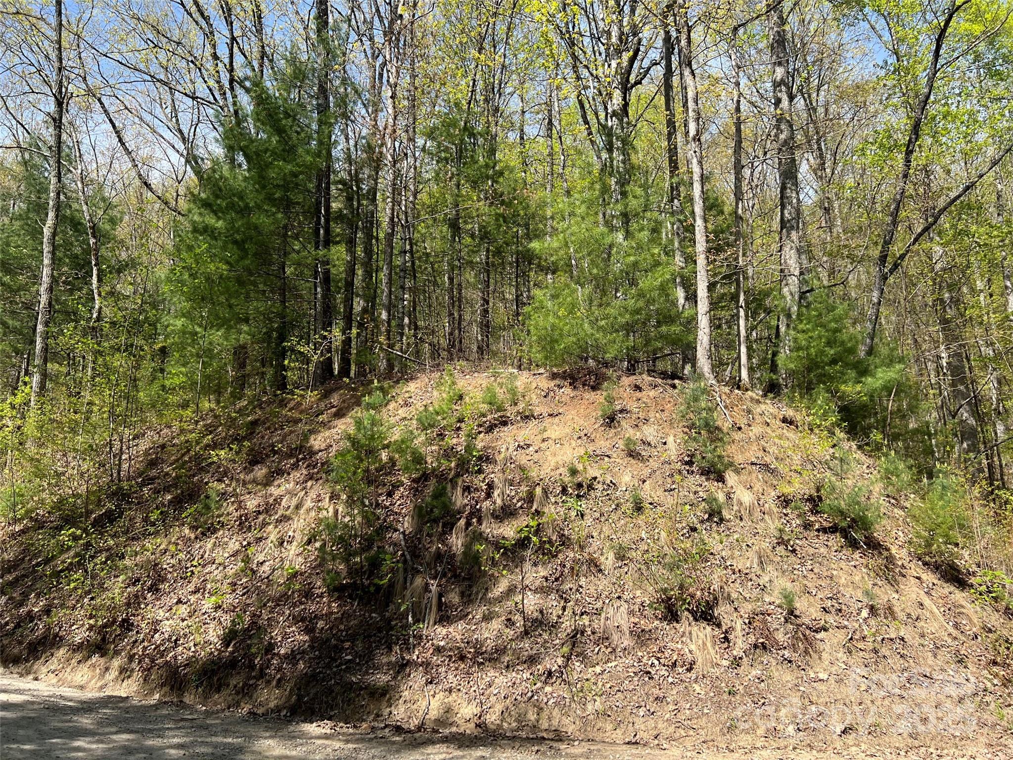 00 Hidden Trail Property Photo 6