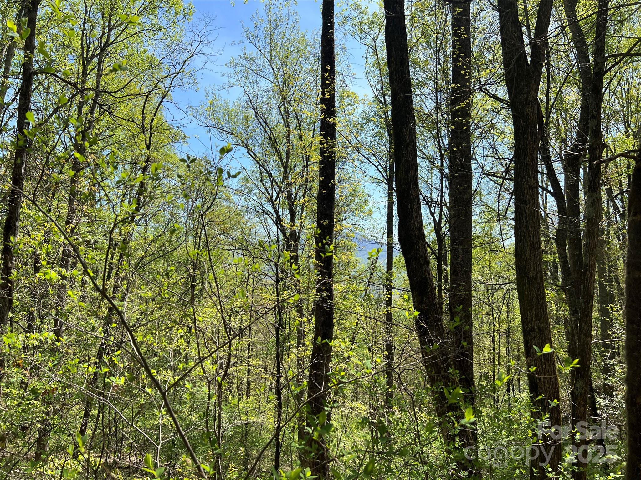 00 Hidden Trail Property Photo 8