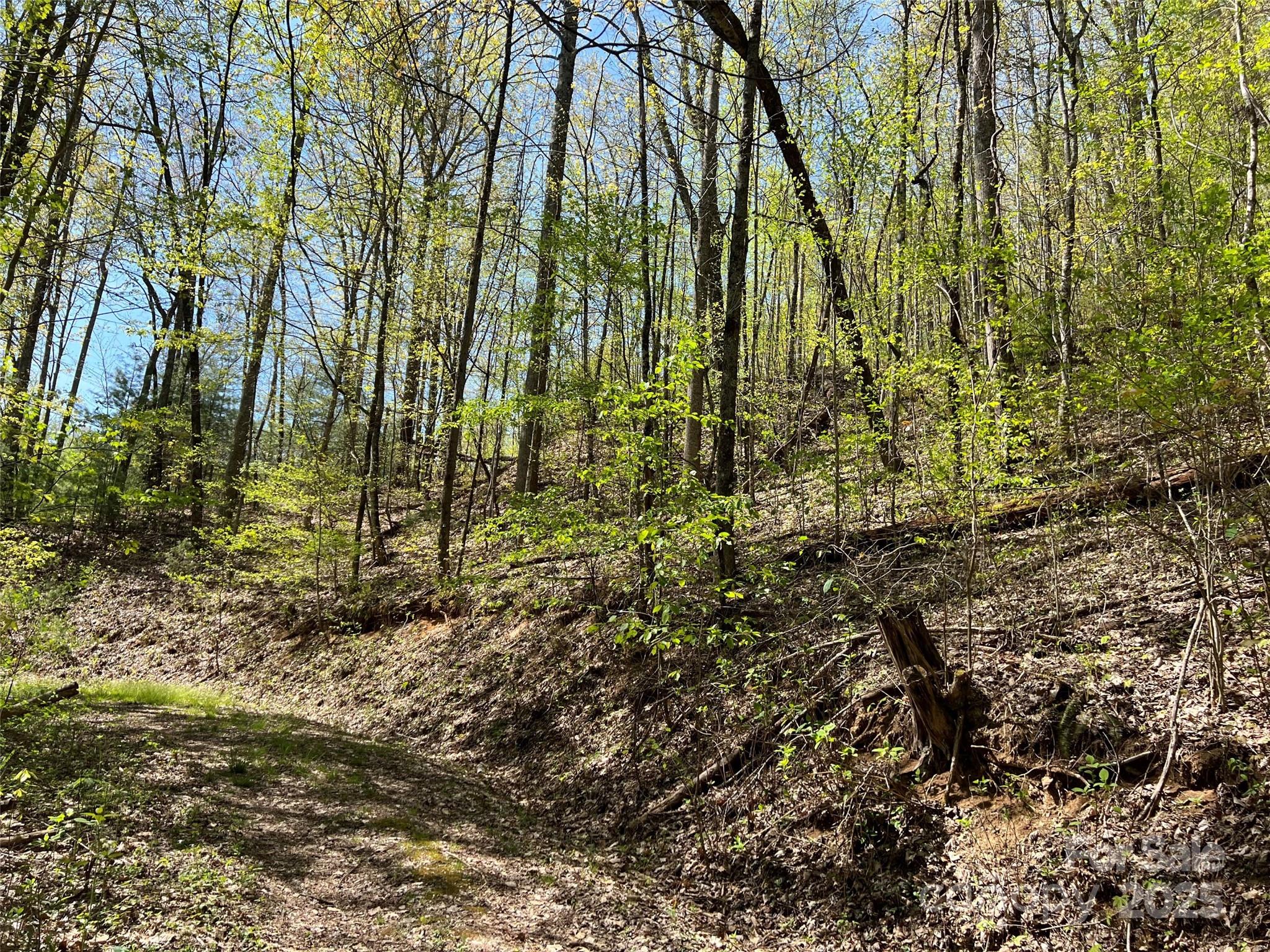00 Hidden Trail Property Photo 9