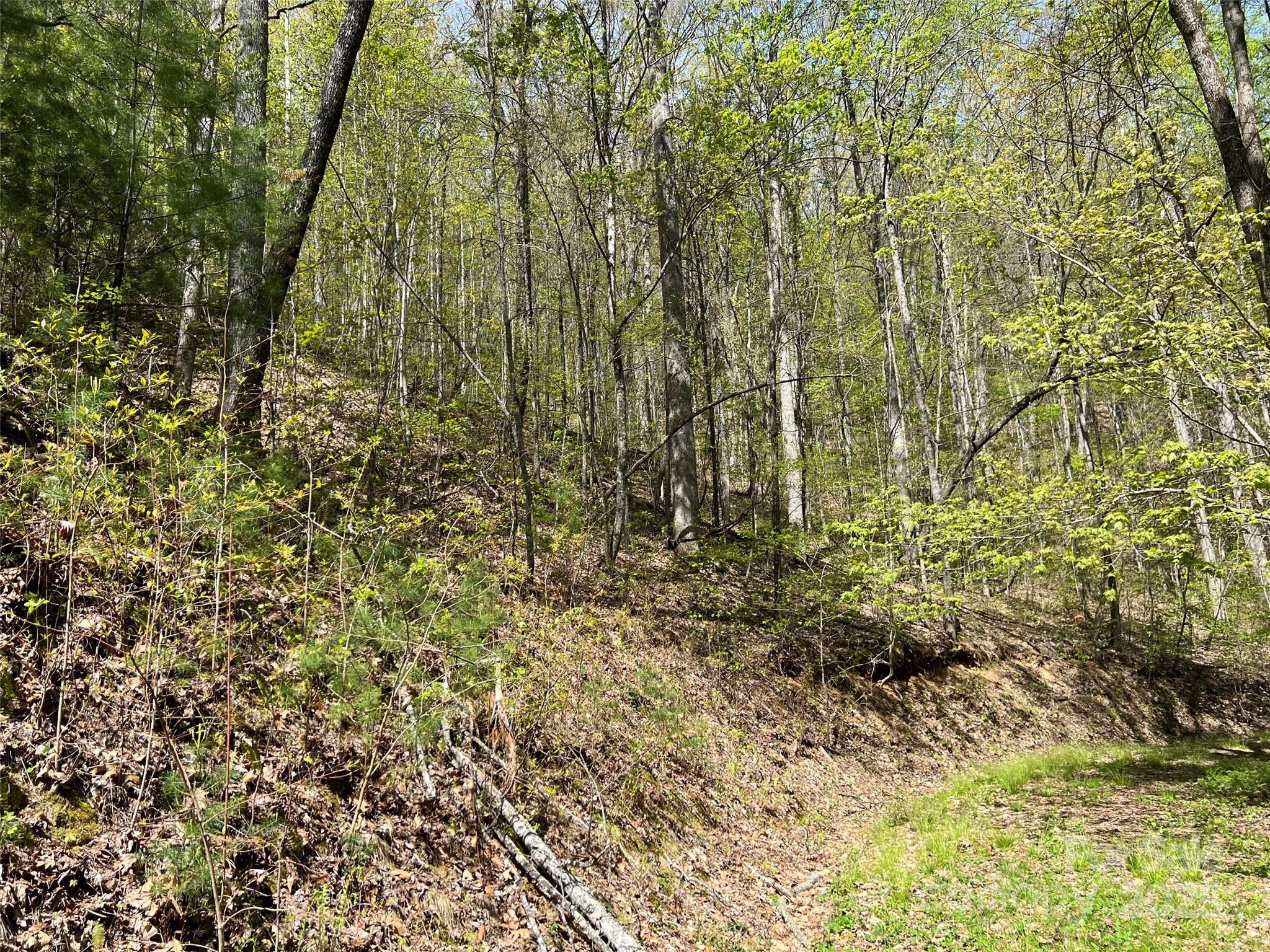 00 Hidden Trail Property Photo 10