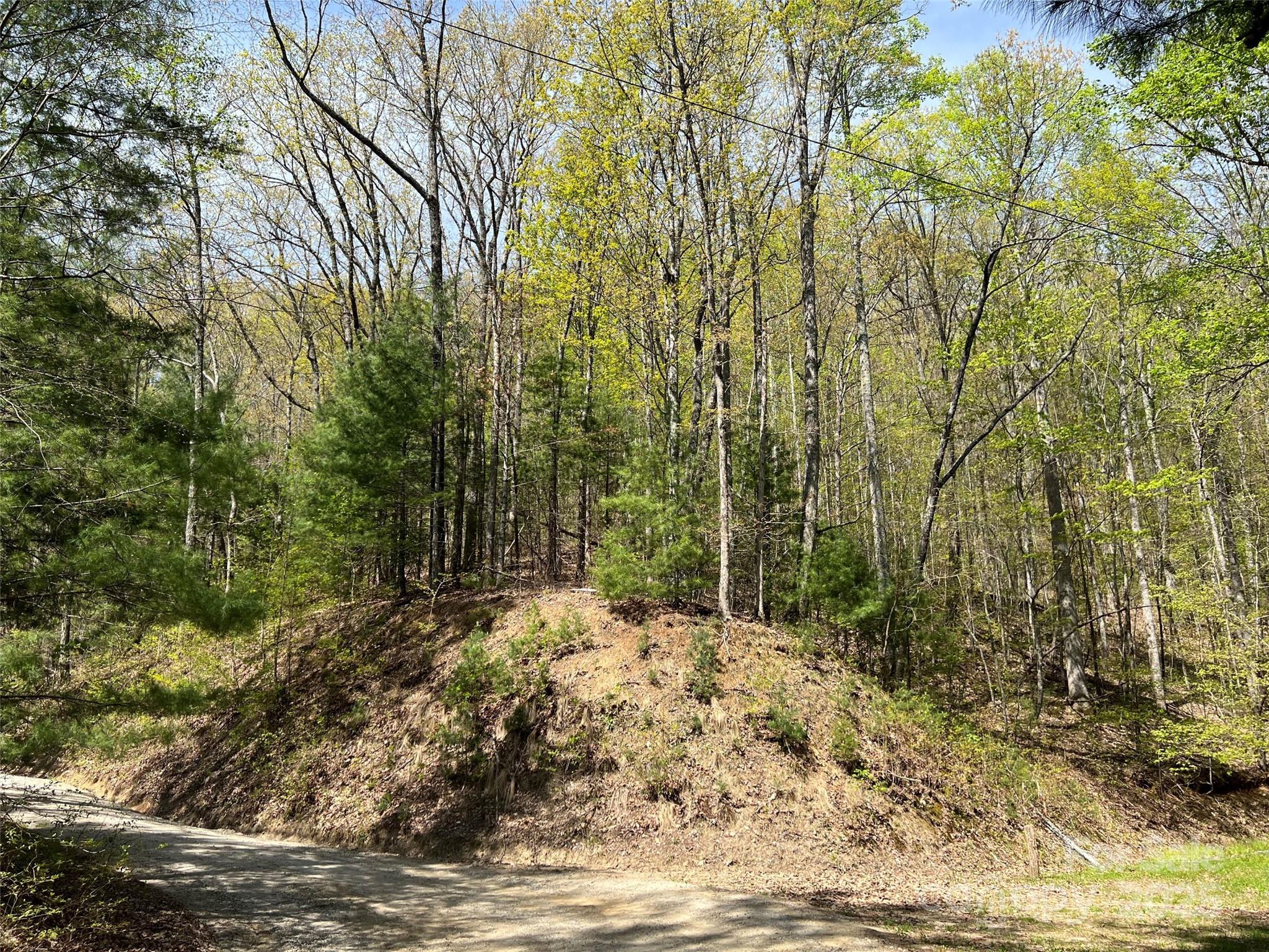 00 Hidden Trail Property Photo 12