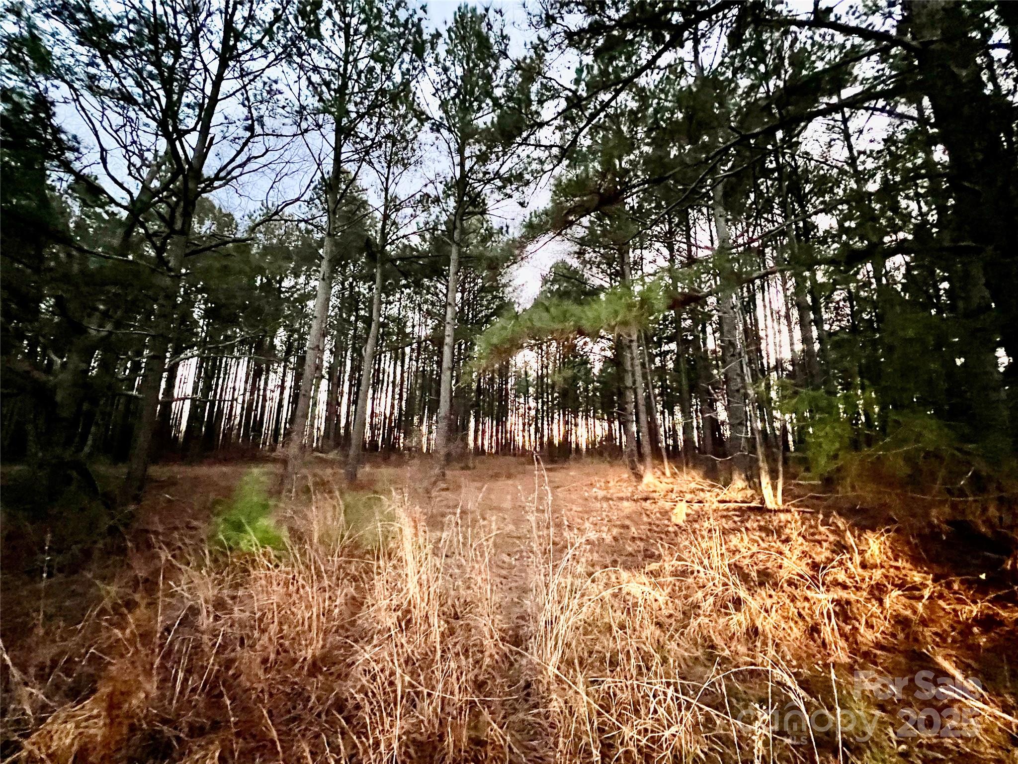 Tbd Wateree Road Property Photo 4