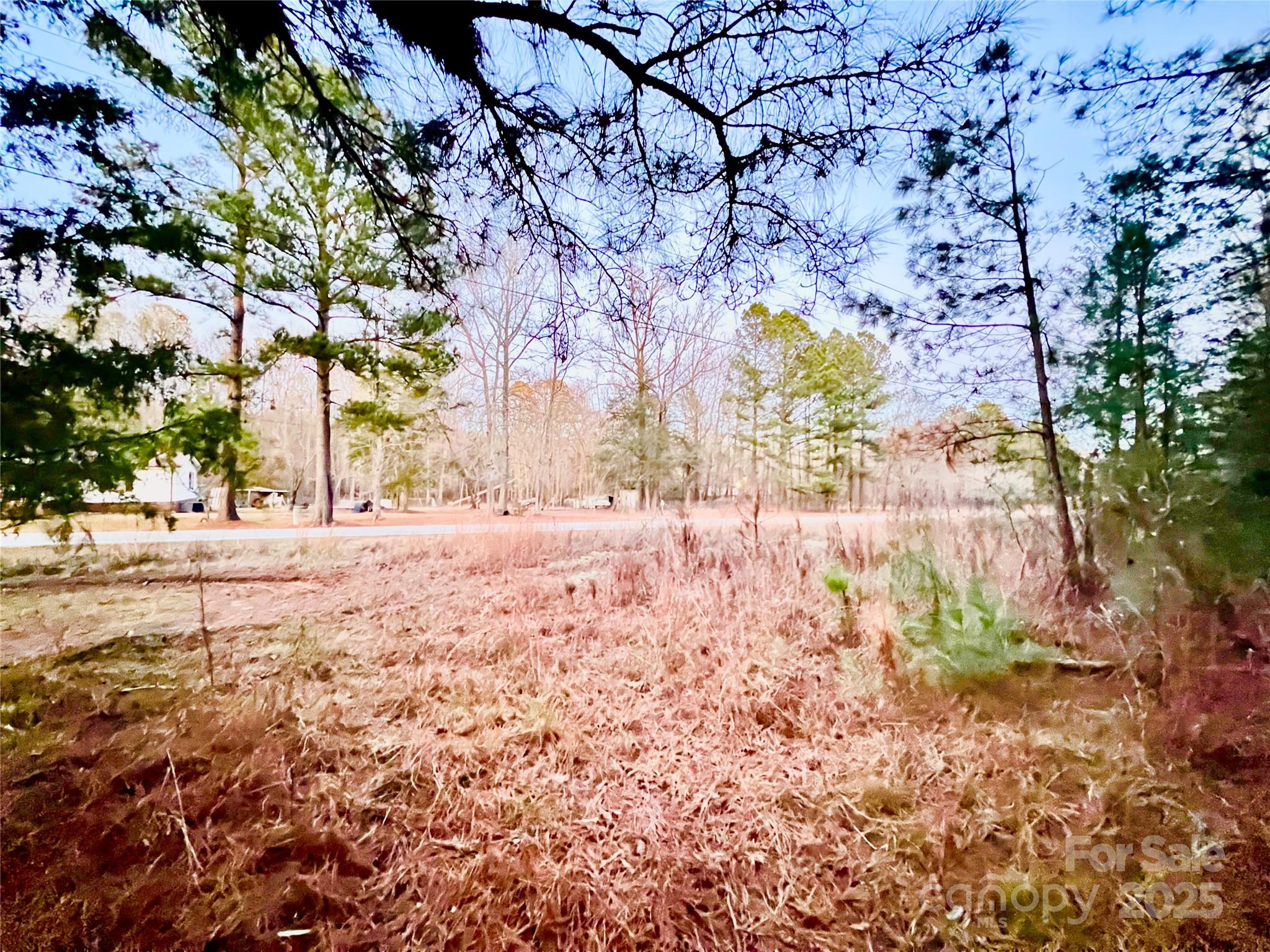 Tbd Wateree Road Property Photo 5