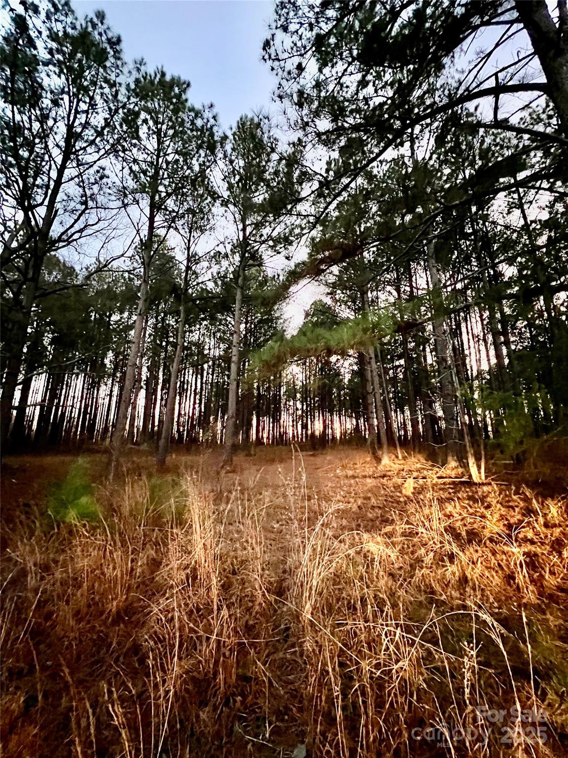Tbd Wateree Road Property Photo 9