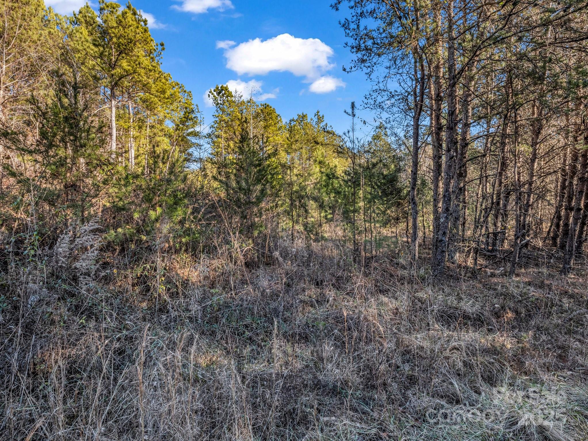 0 Petite Court Property Photo 6