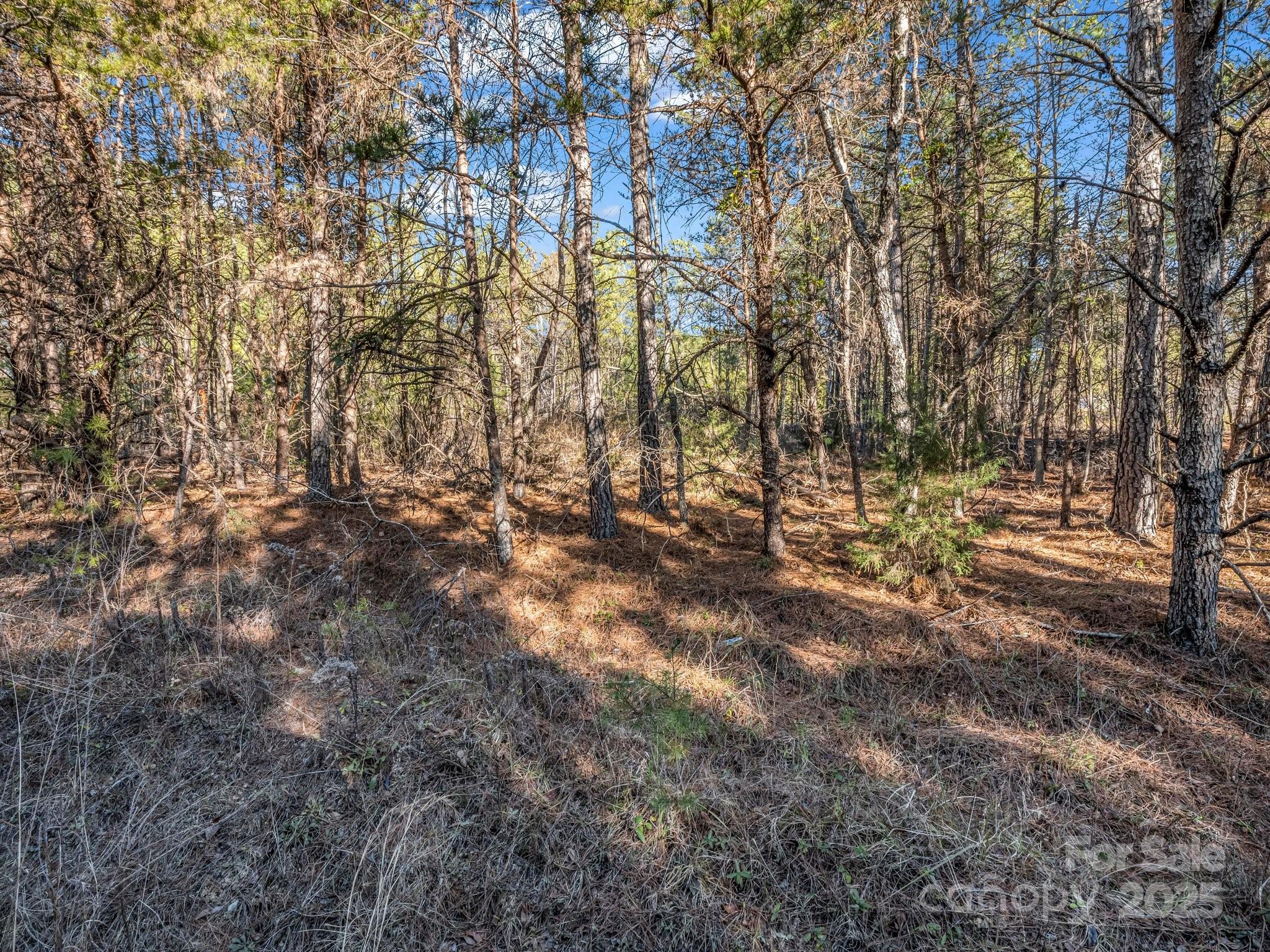 0 Petite Court Property Photo 7