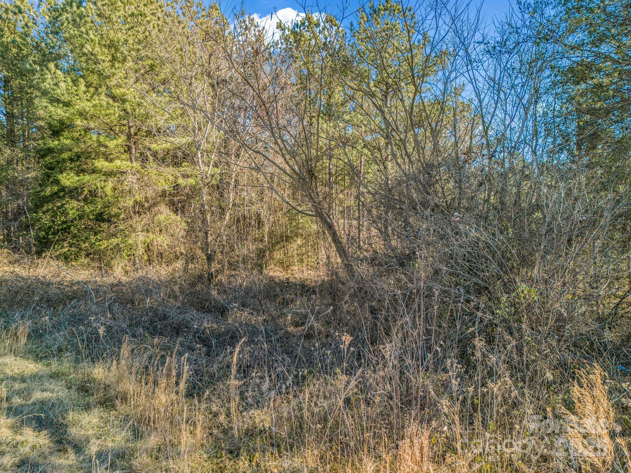 0 Petite Court Property Photo 9