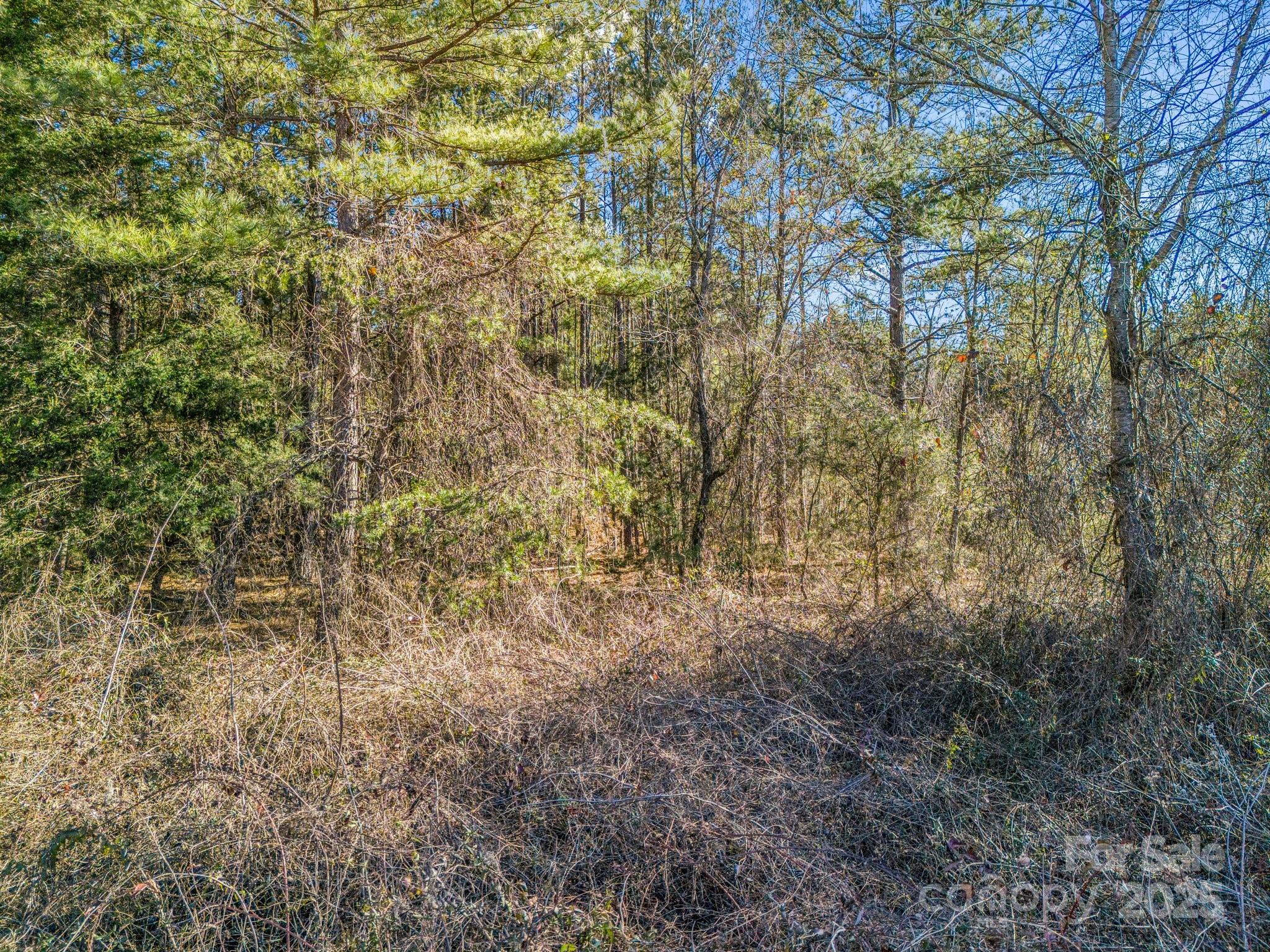 0 Petite Court Property Photo 10