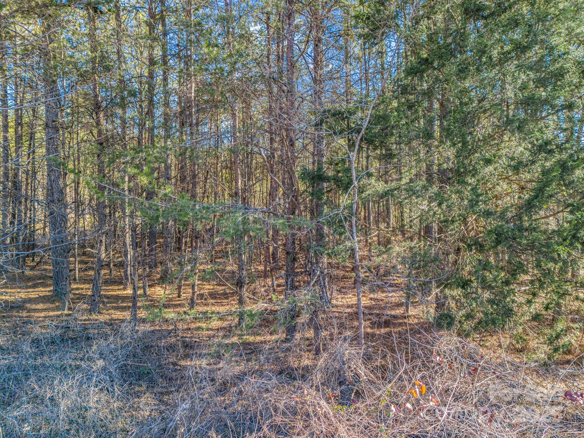 0 Petite Court Property Photo 11