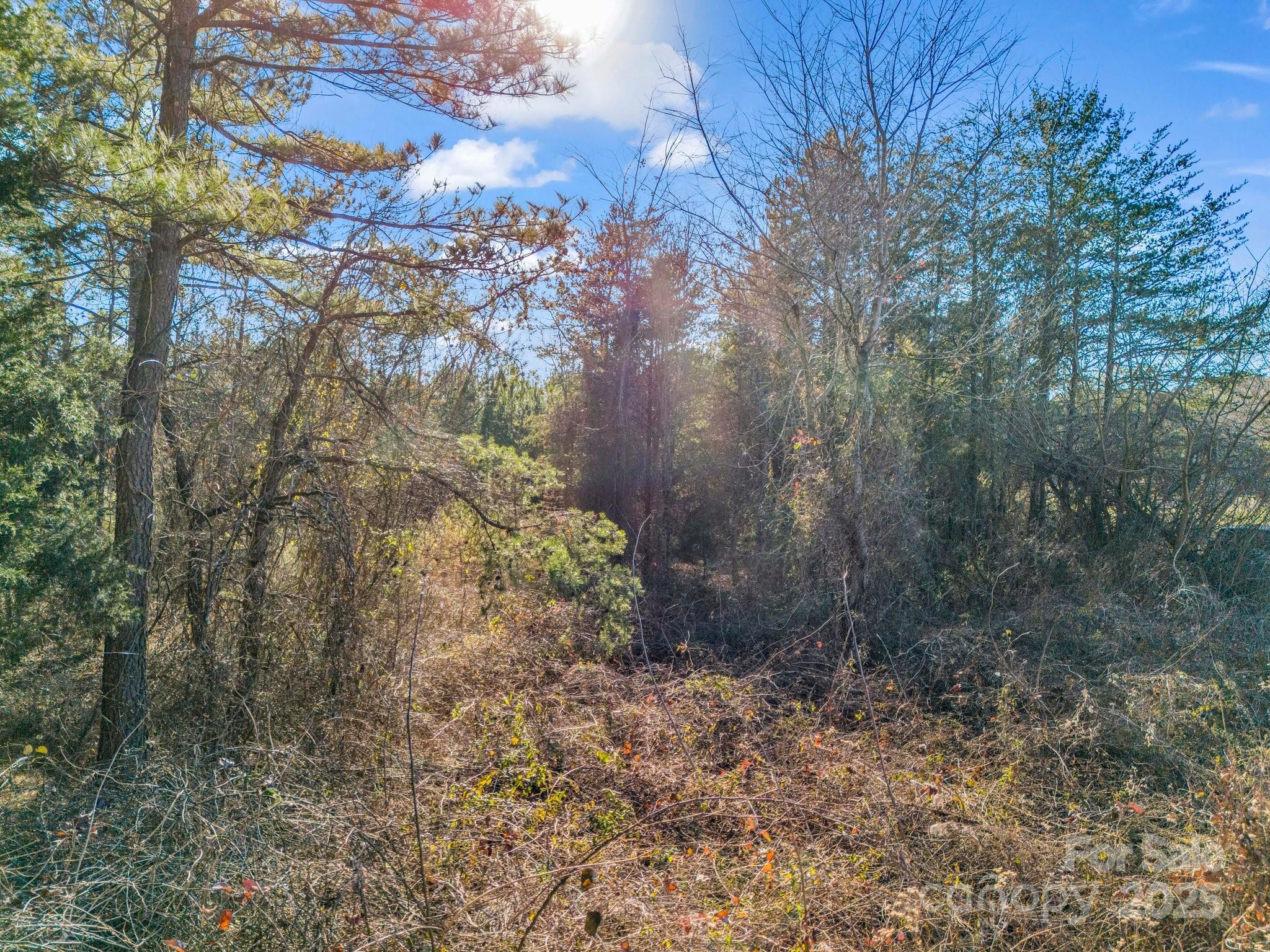0 Petite Court Property Photo 12
