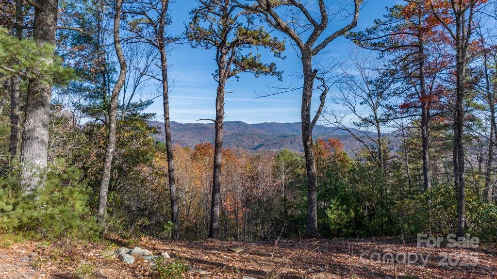 223 Red Cedar Road Property Photo
