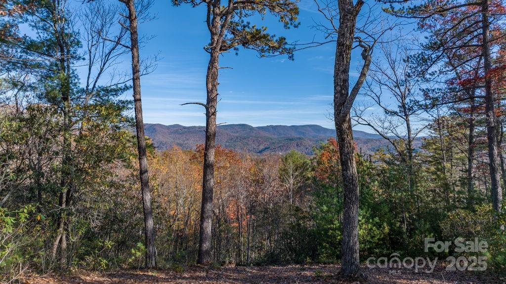 223 Red Cedar Road Property Photo 2