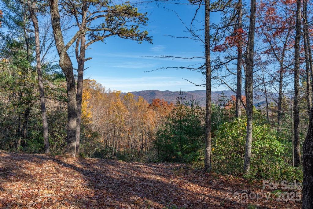 223 Red Cedar Road Property Photo 3