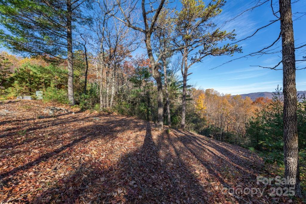 223 Red Cedar Road Property Photo 5