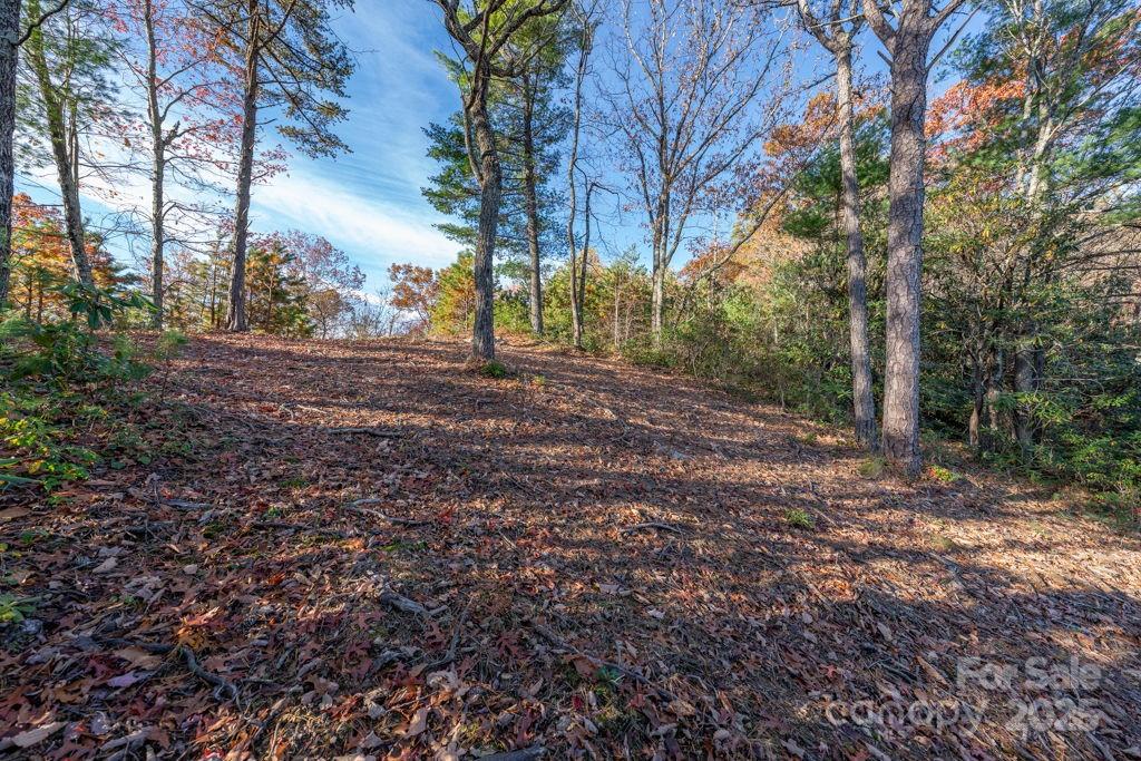 223 Red Cedar Road Property Photo 6