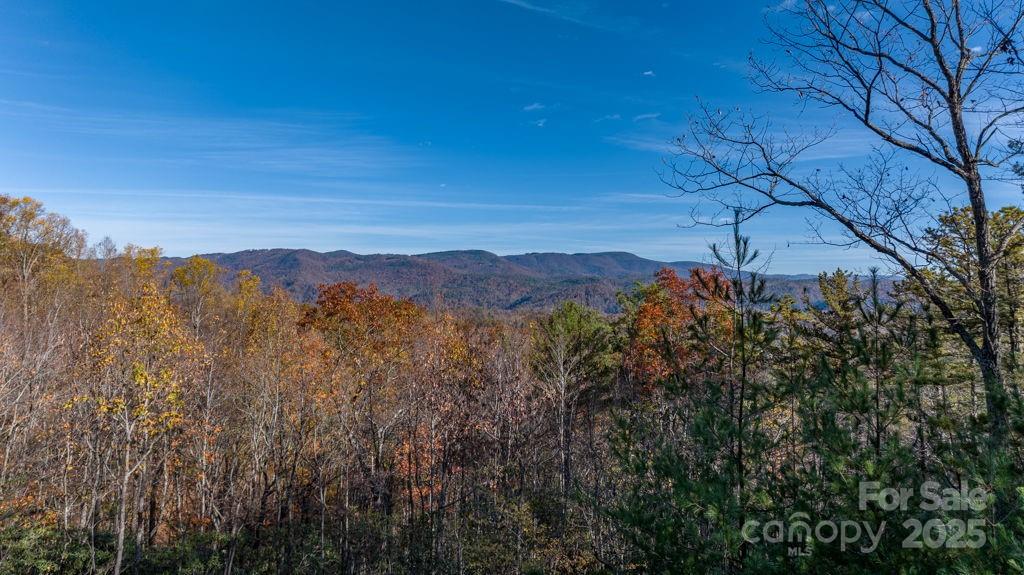 223 Red Cedar Road Property Photo 14