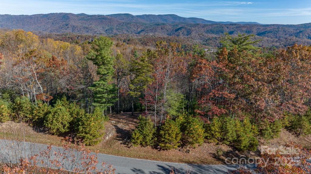 223 Red Cedar Road Property Photo 19