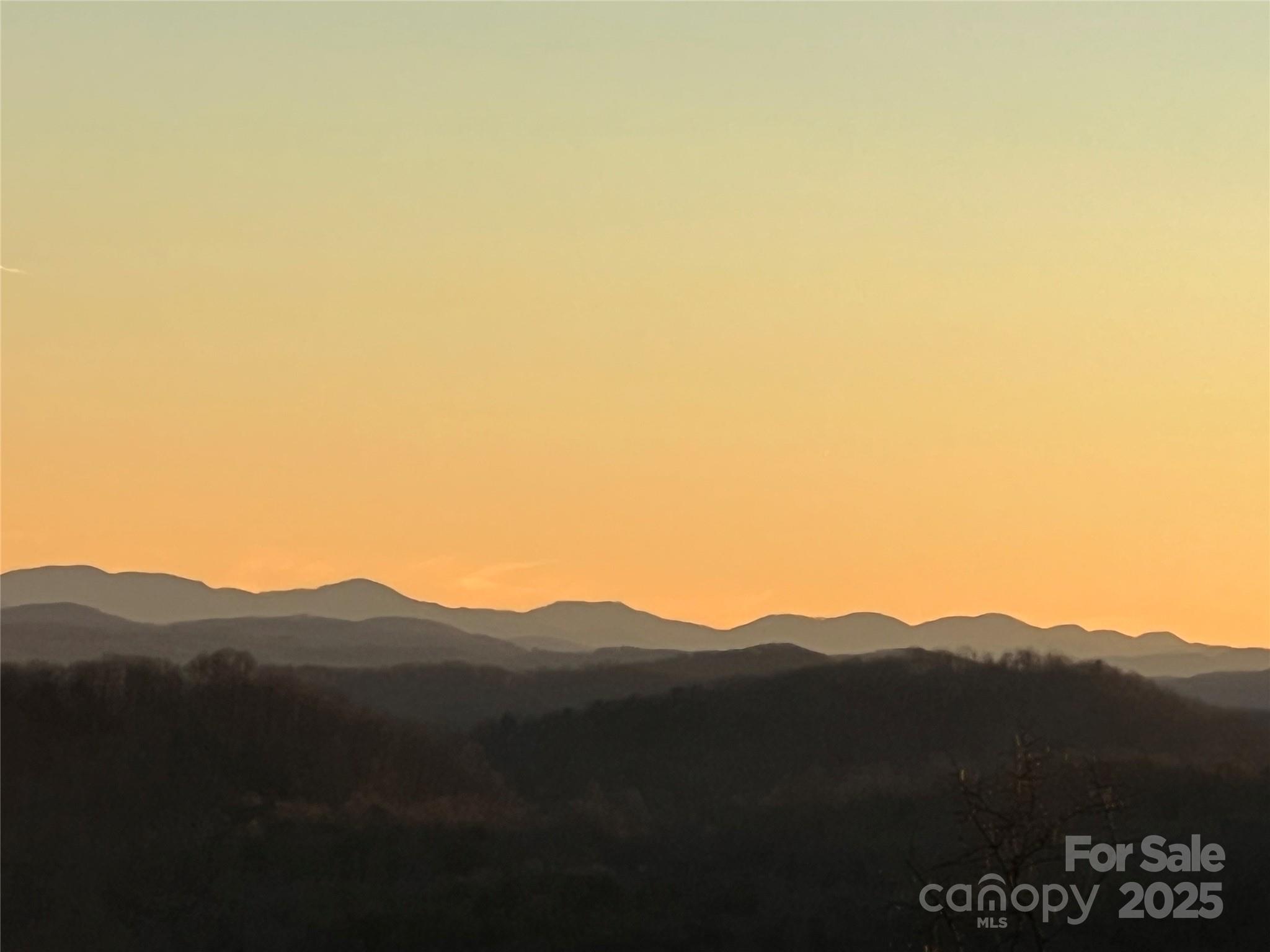 Tr 14 Blackberry Ridge Property Photo 3