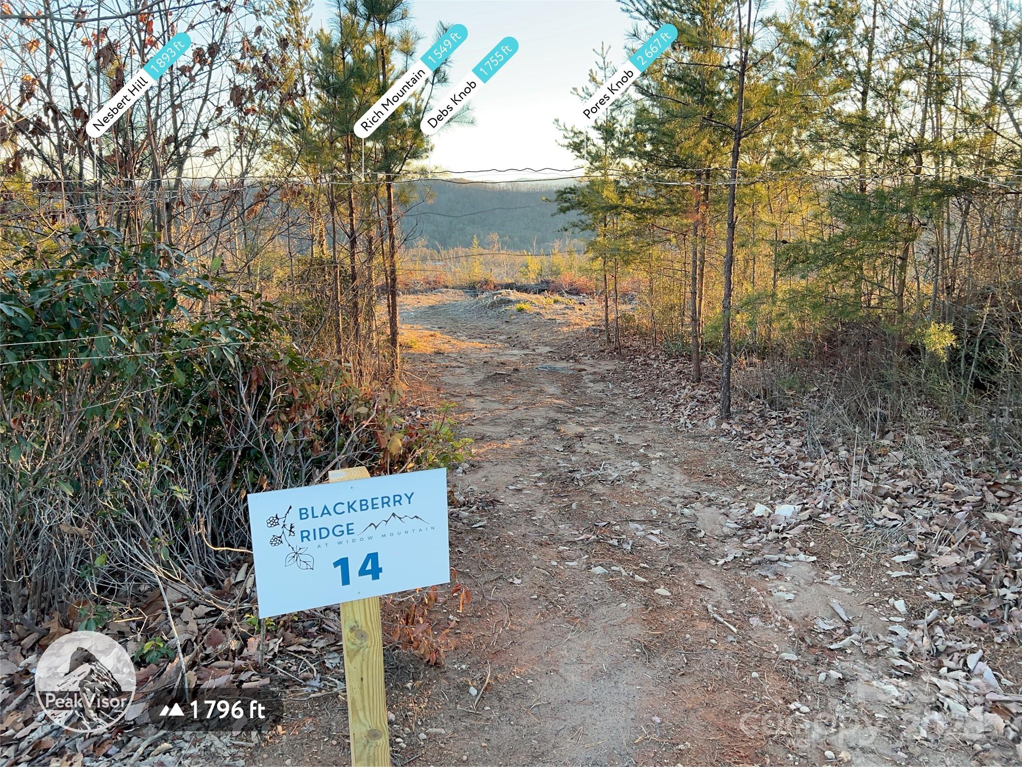Tr 14 Blackberry Ridge Property Photo 4