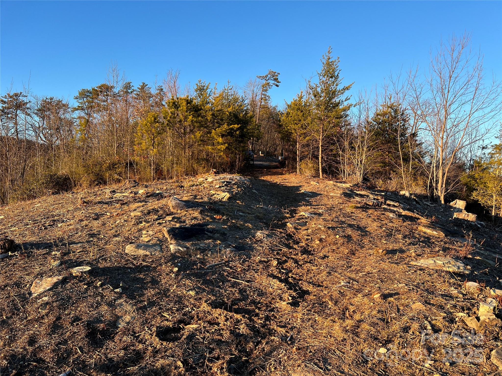 Tr 14 Blackberry Ridge Property Photo 5