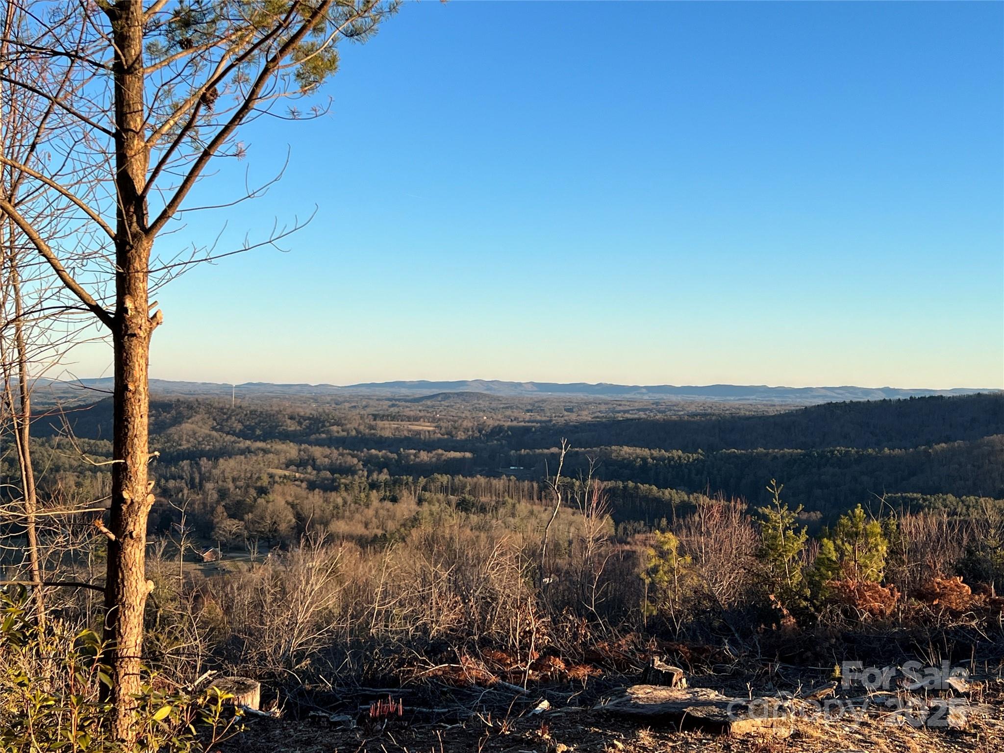 Tr 14 Blackberry Ridge Property Photo 7