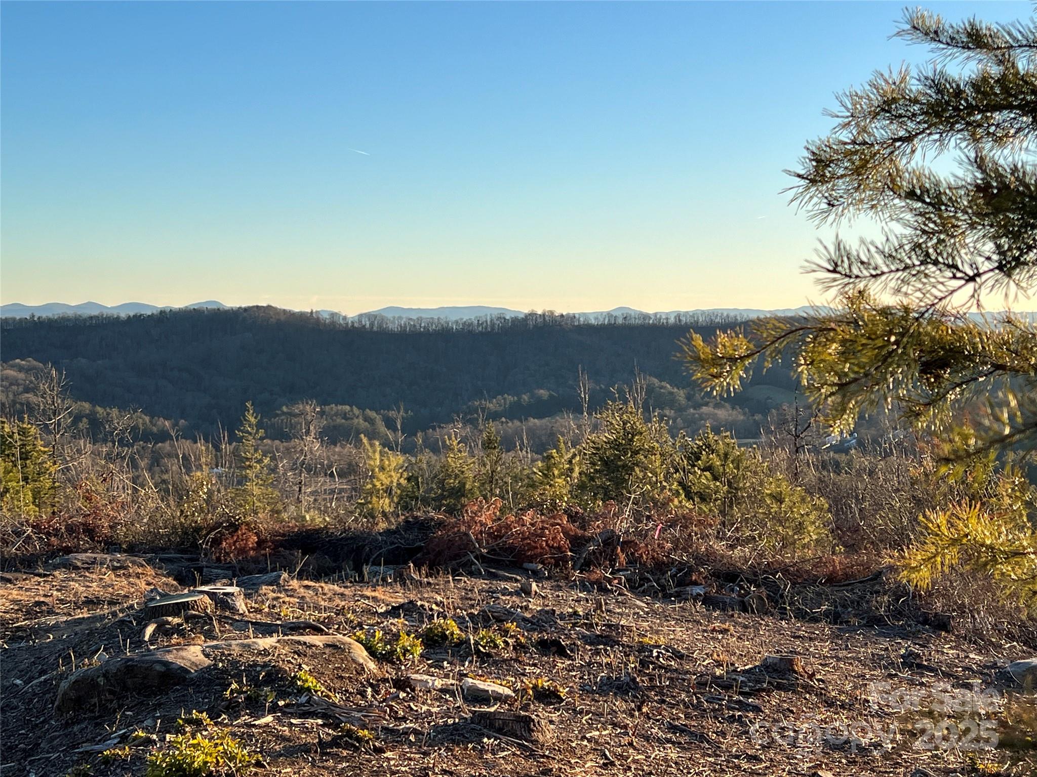 Tr 14 Blackberry Ridge Property Photo 8