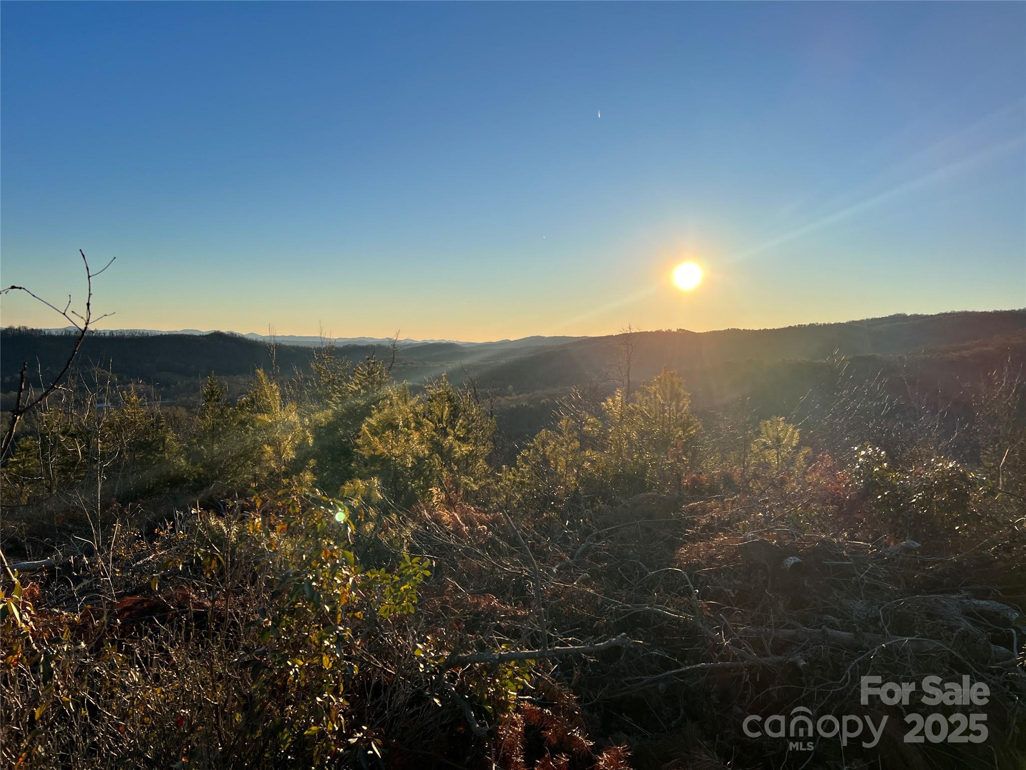 Tr 14 Blackberry Ridge Property Photo 9