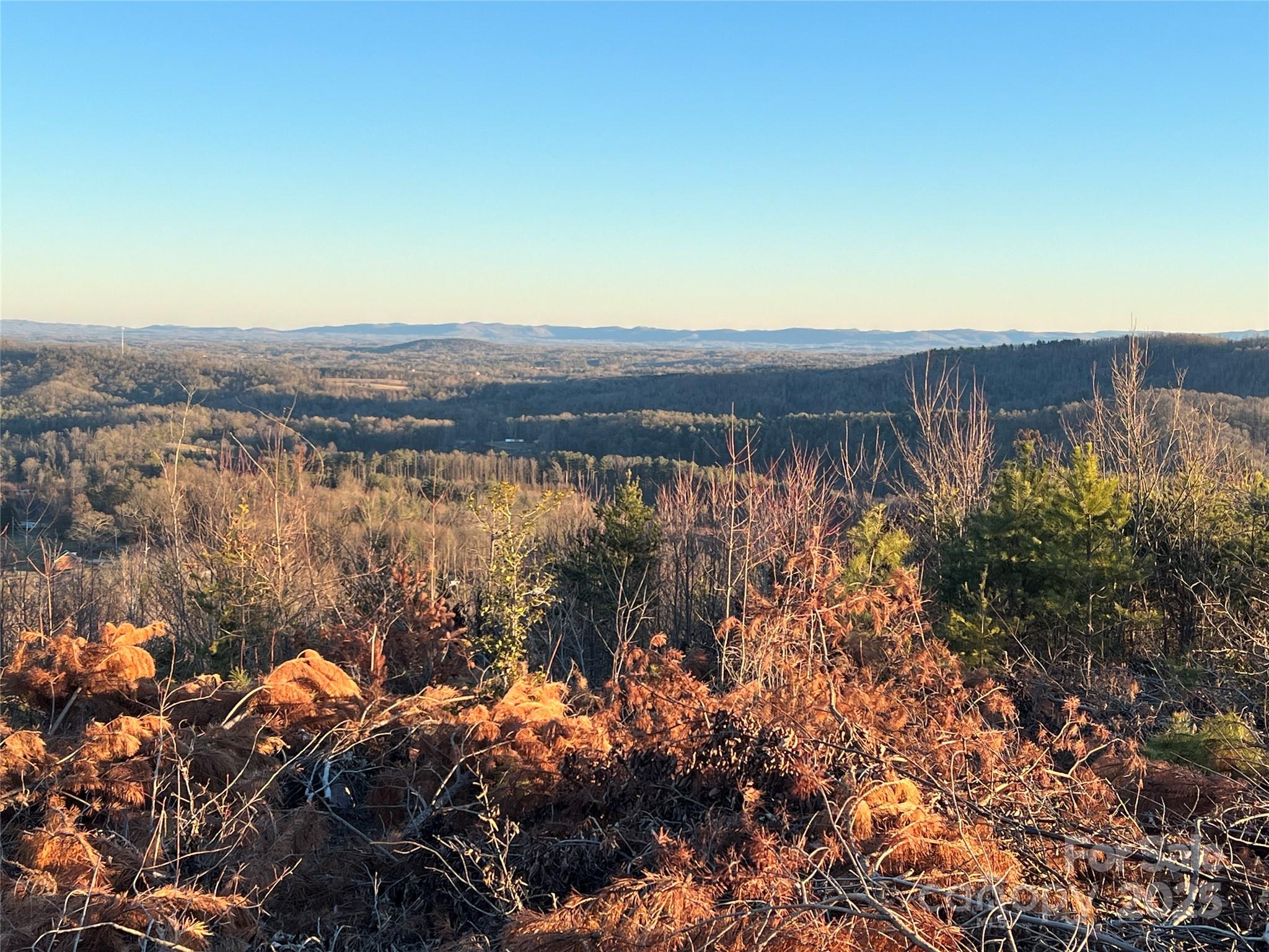 Tr 14 Blackberry Ridge Property Photo 10