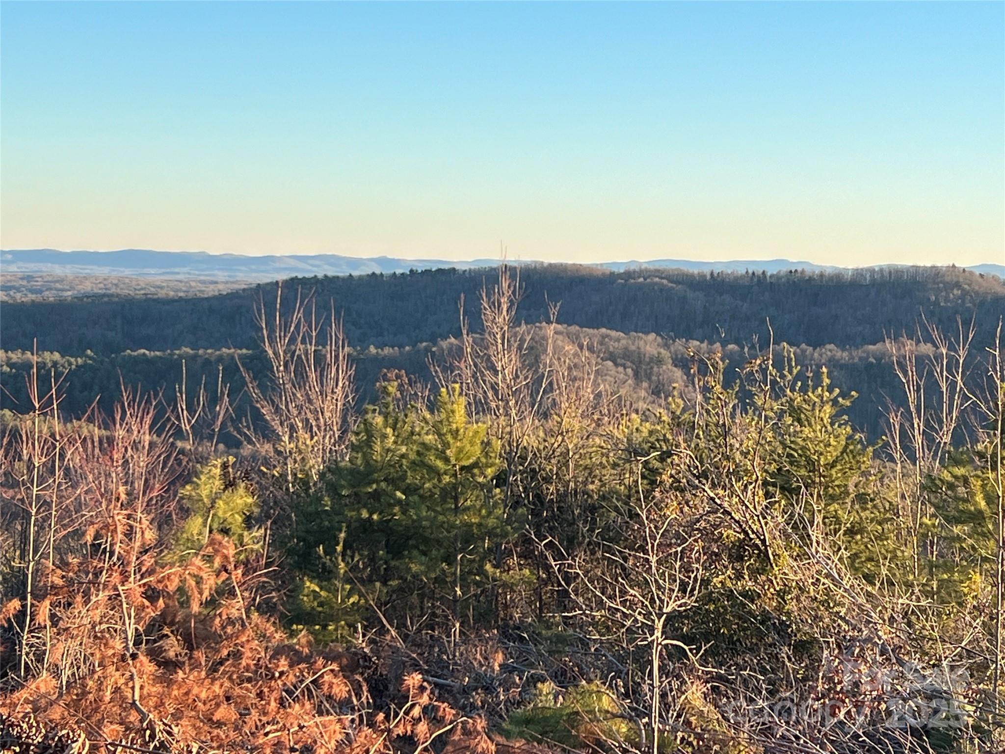 Tr 14 Blackberry Ridge Property Photo 11