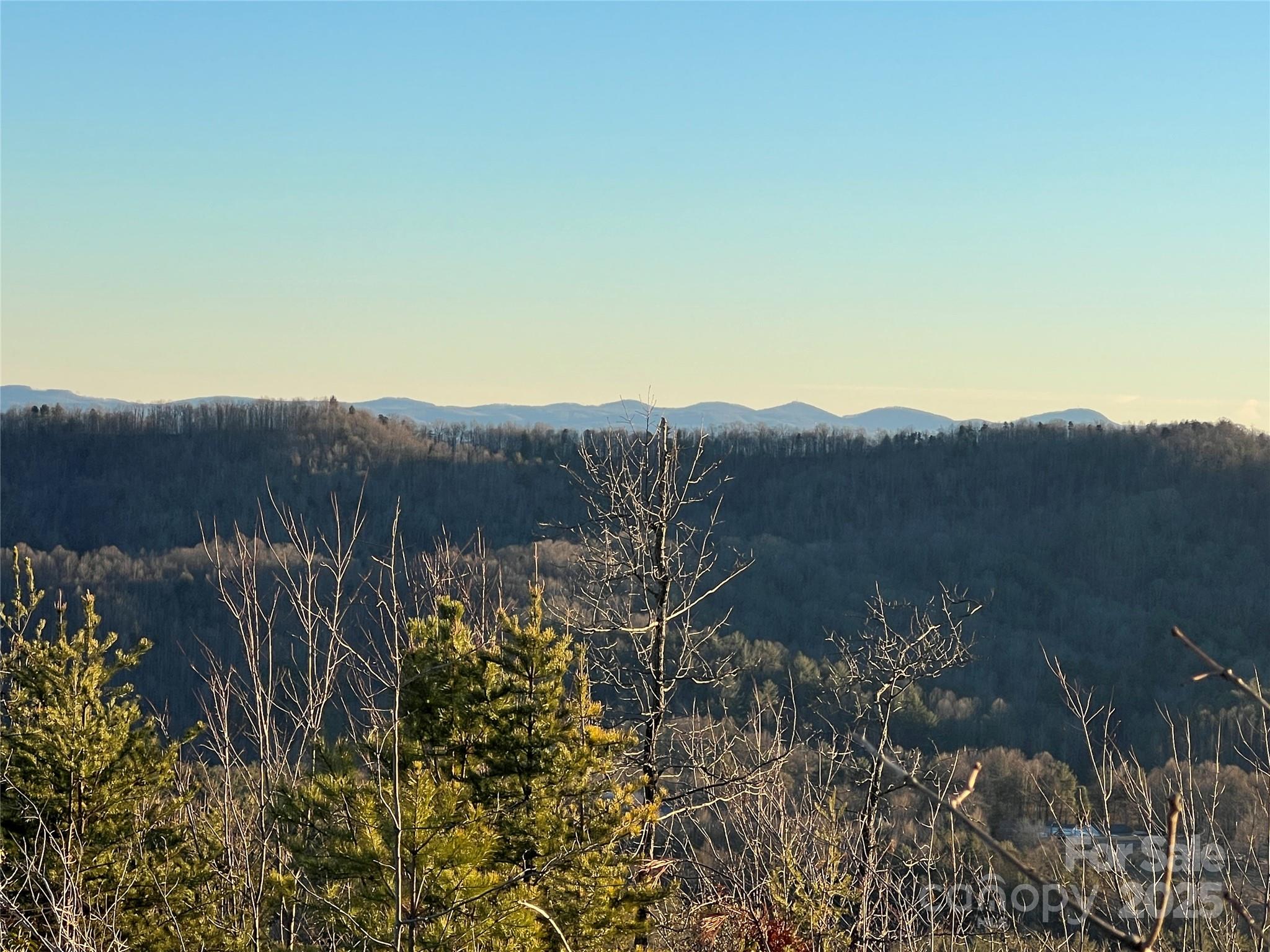 Tr 14 Blackberry Ridge Property Photo 12