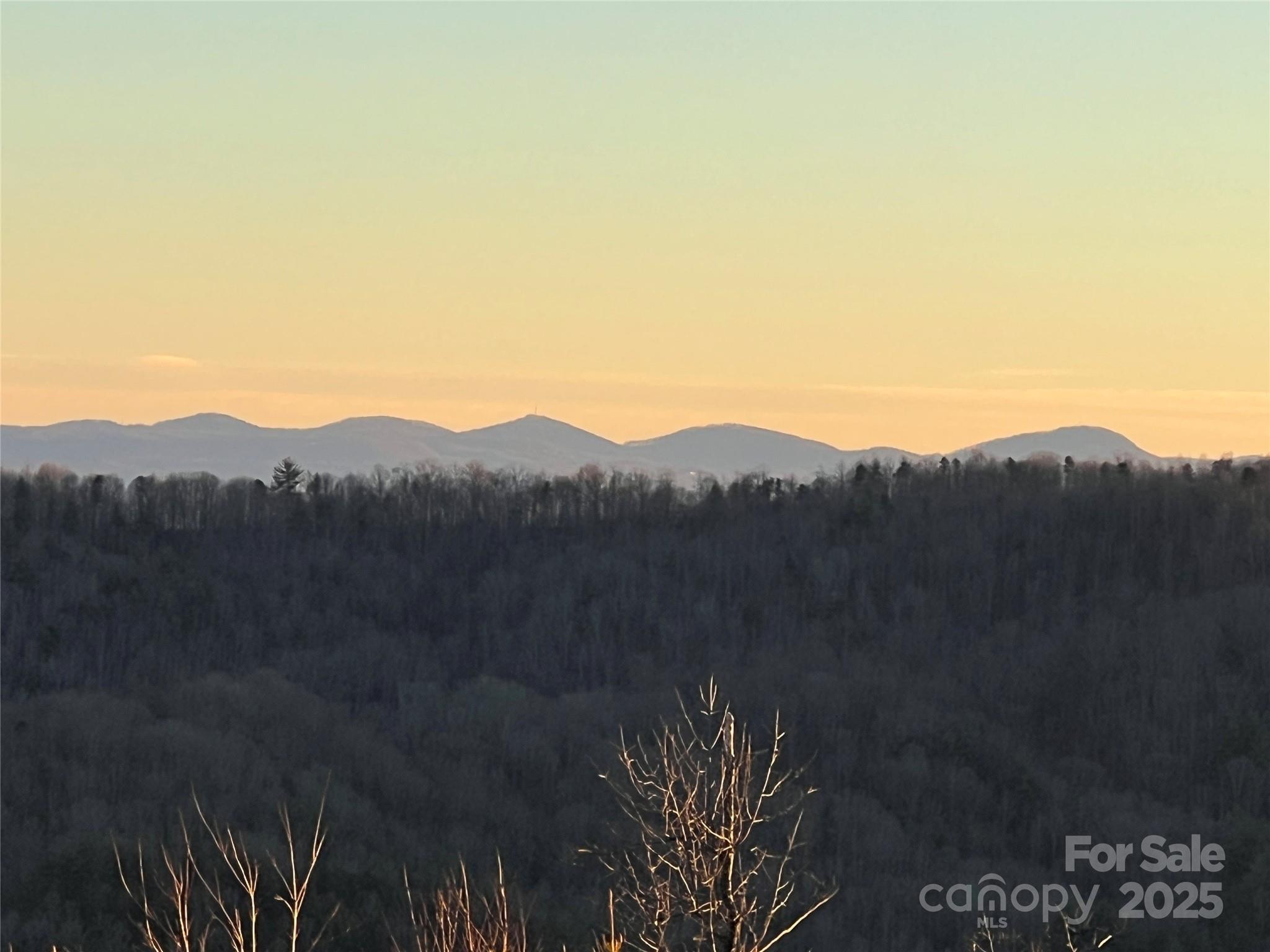 Tr 14 Blackberry Ridge Property Photo 16