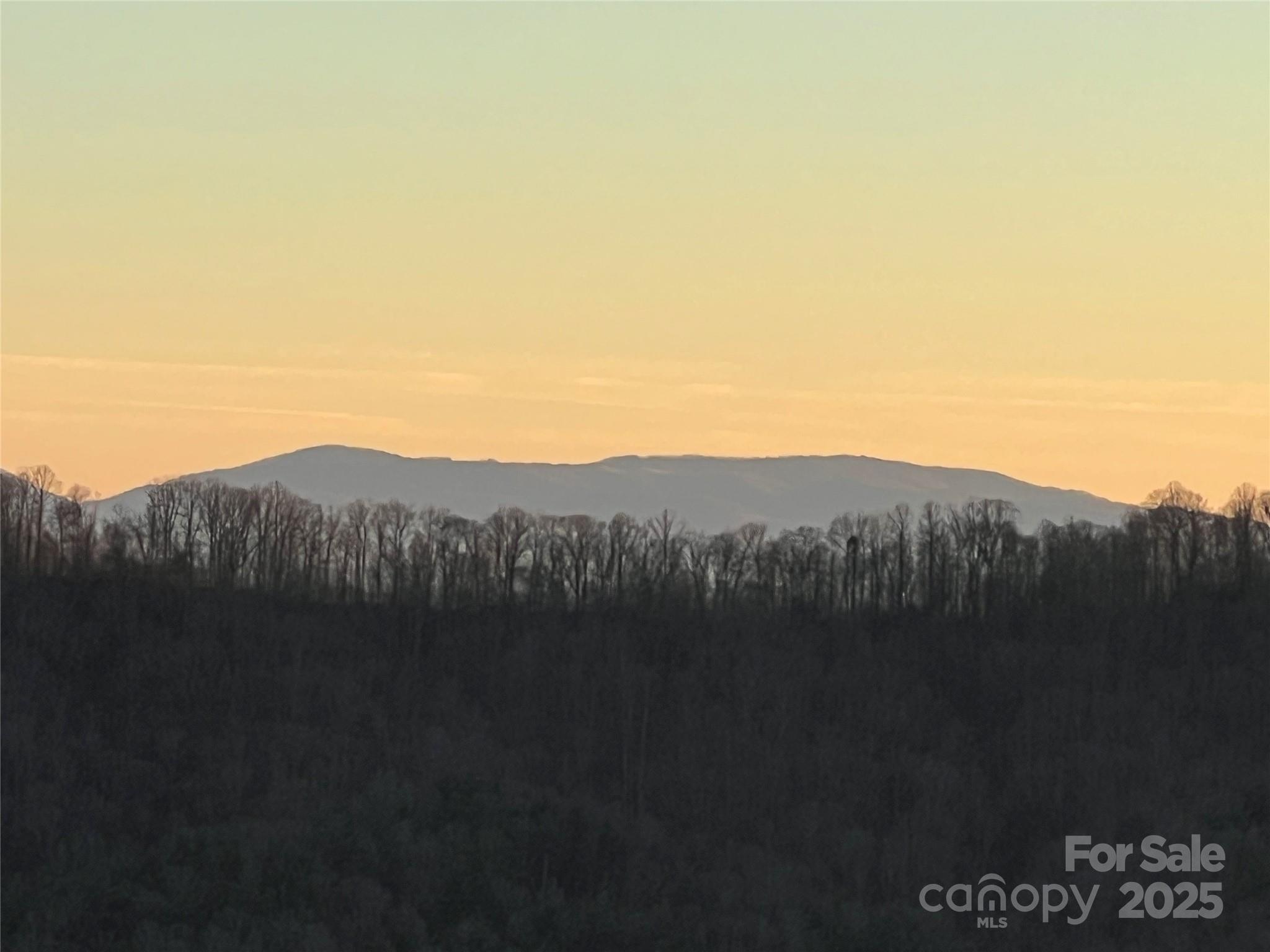 Tr 14 Blackberry Ridge Property Photo 17