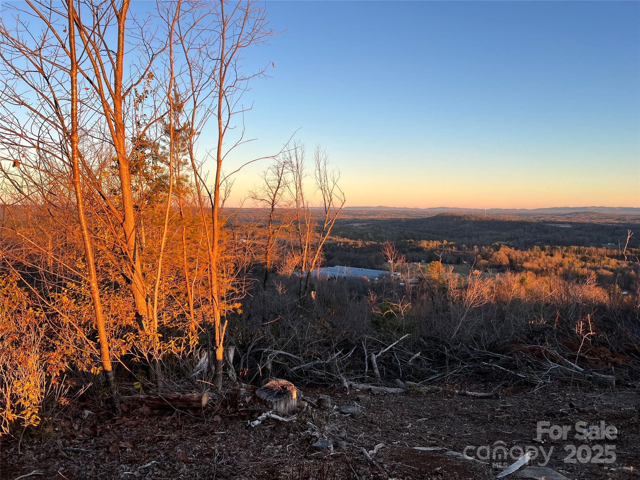 Tr 14 Blackberry Ridge Property Photo 19