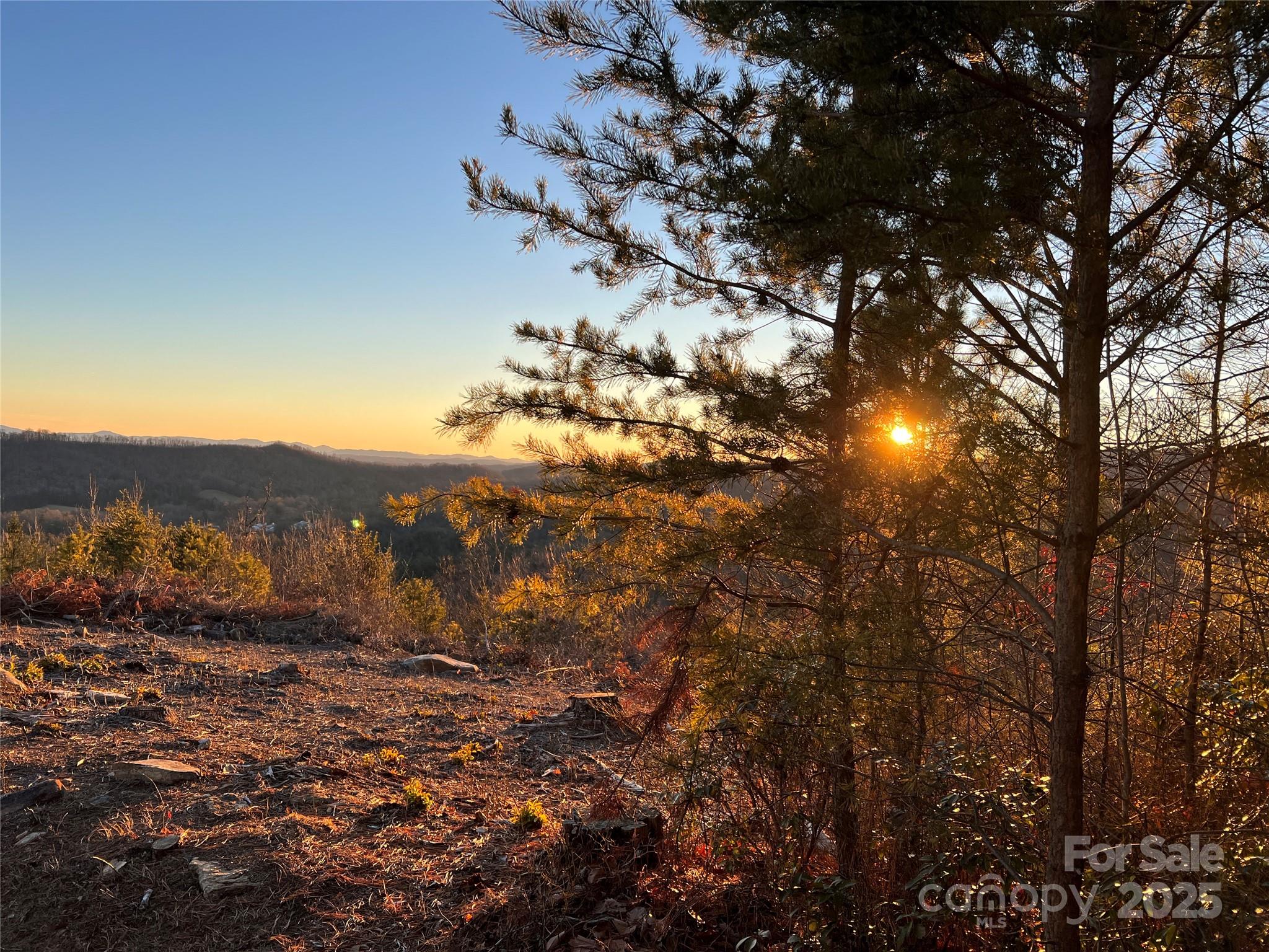 Tr 14 Blackberry Ridge Property Photo 23