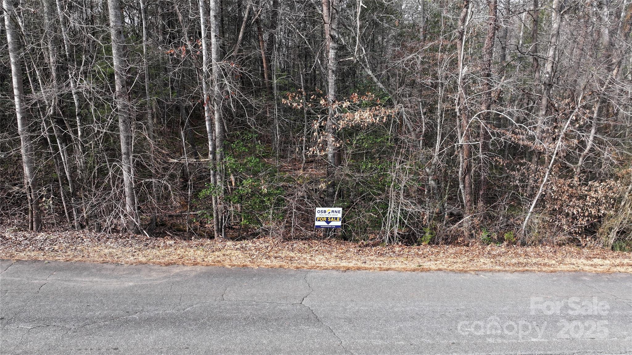 0 Cook Lane Property Photo 3