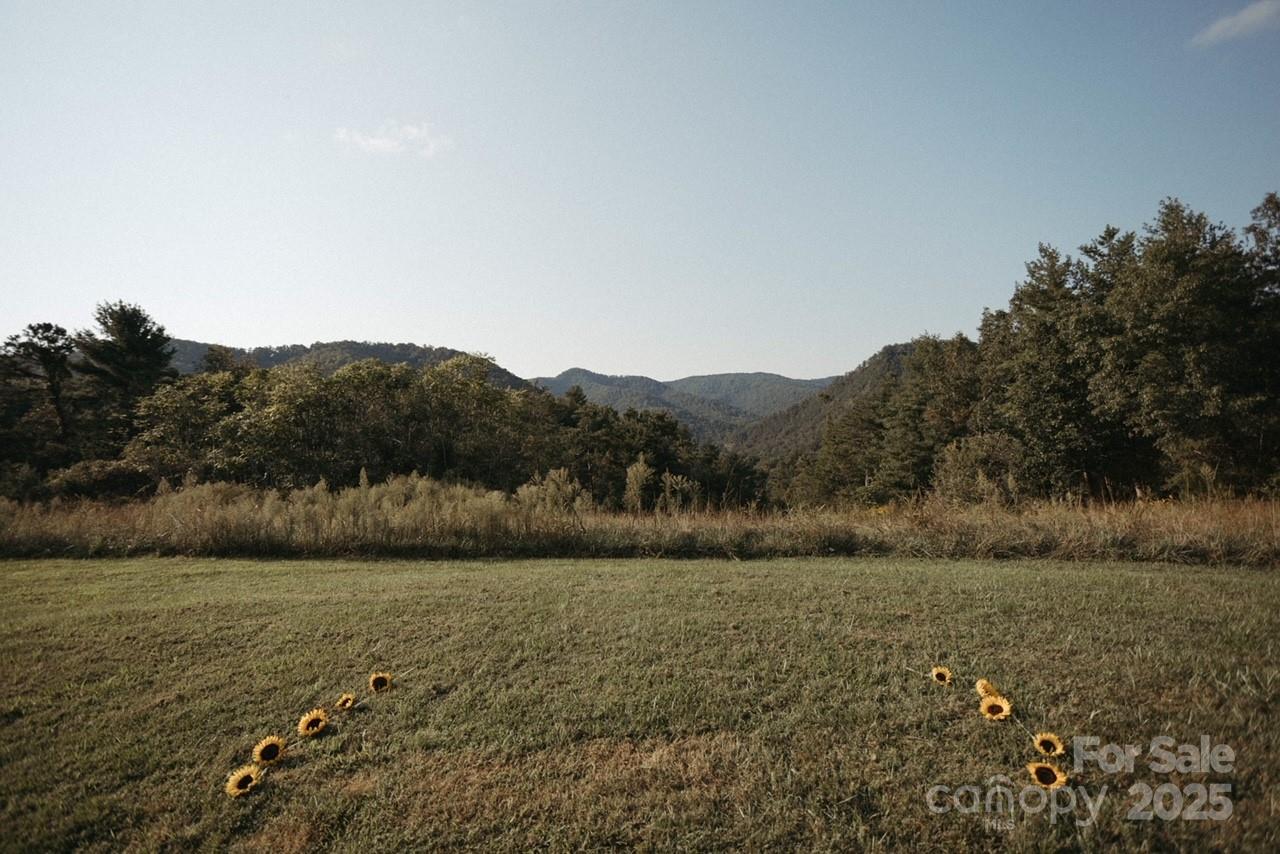 1295 Paint Rock Road Property Photo 22