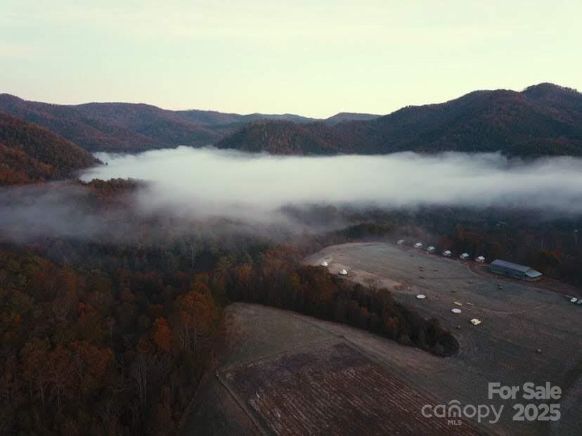 1295 Paint Rock Road Property Photo 29