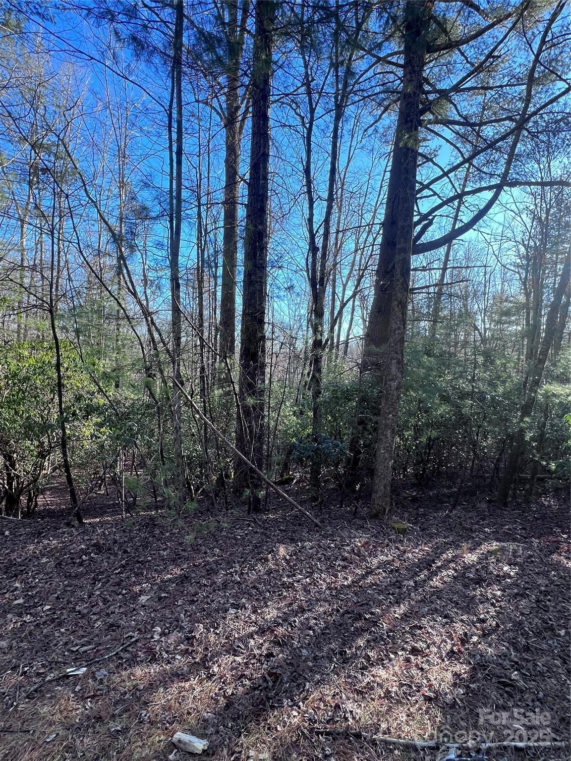 L26 Konnaneeta Trail U03 L026 Property Photo 3
