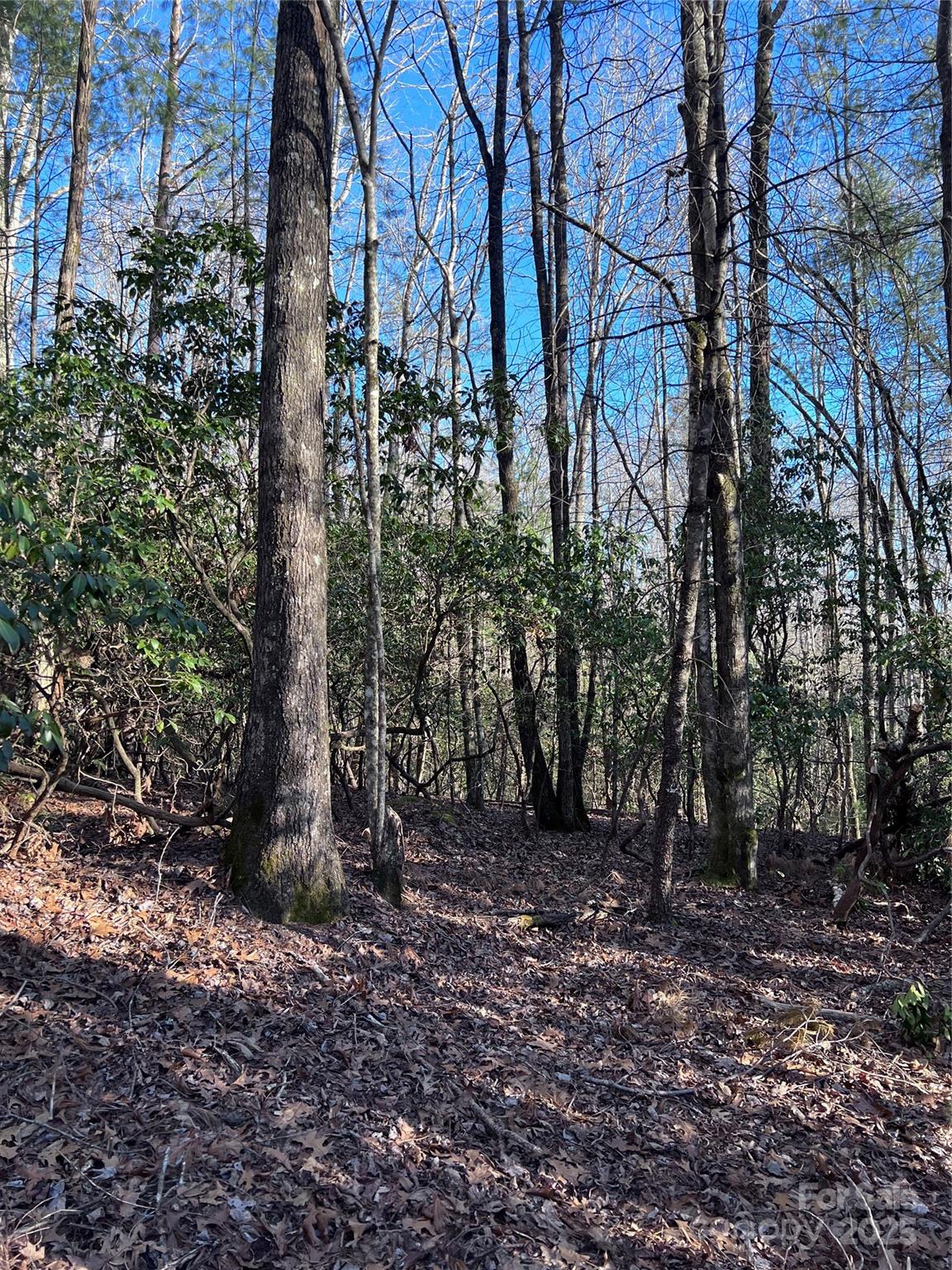 L26 Konnaneeta Trail U03 L026 Property Photo 5
