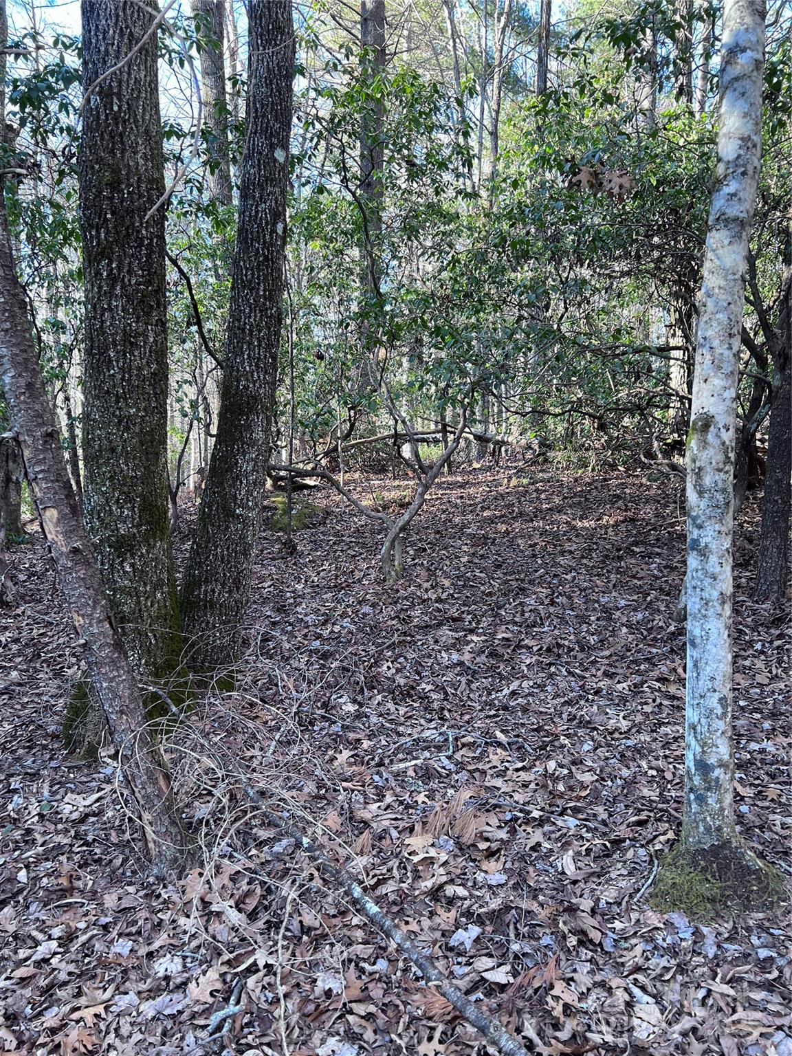 L26 Konnaneeta Trail U03 L026 Property Photo 7