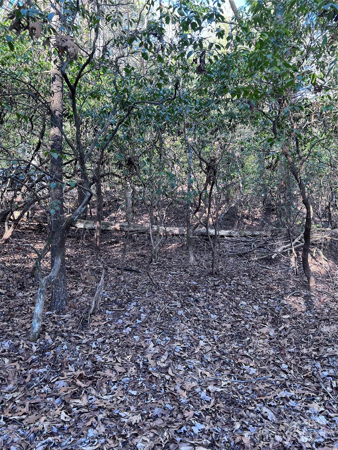 L26 Konnaneeta Trail U03 L026 Property Photo 8