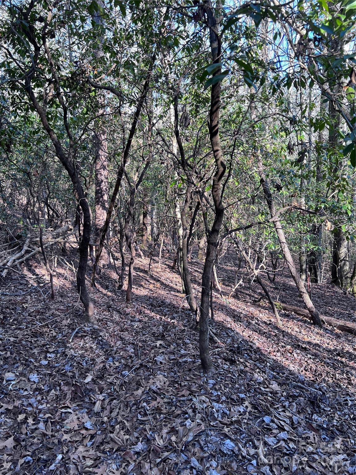 L26 Konnaneeta Trail U03 L026 Property Photo 9