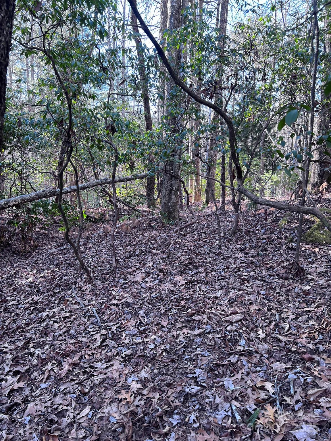 L26 Konnaneeta Trail U03 L026 Property Photo 10