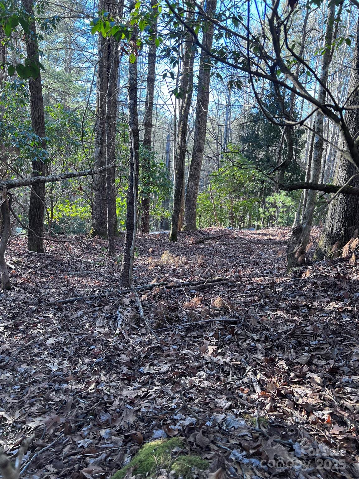 L26 Konnaneeta Trail U03 L026 Property Photo 11