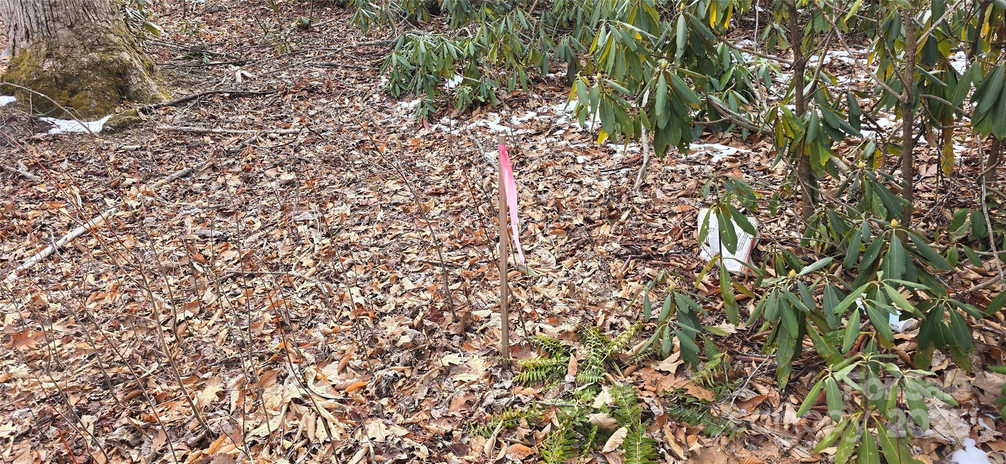 Lot 42 Twinbrook Lane Property Photo 5