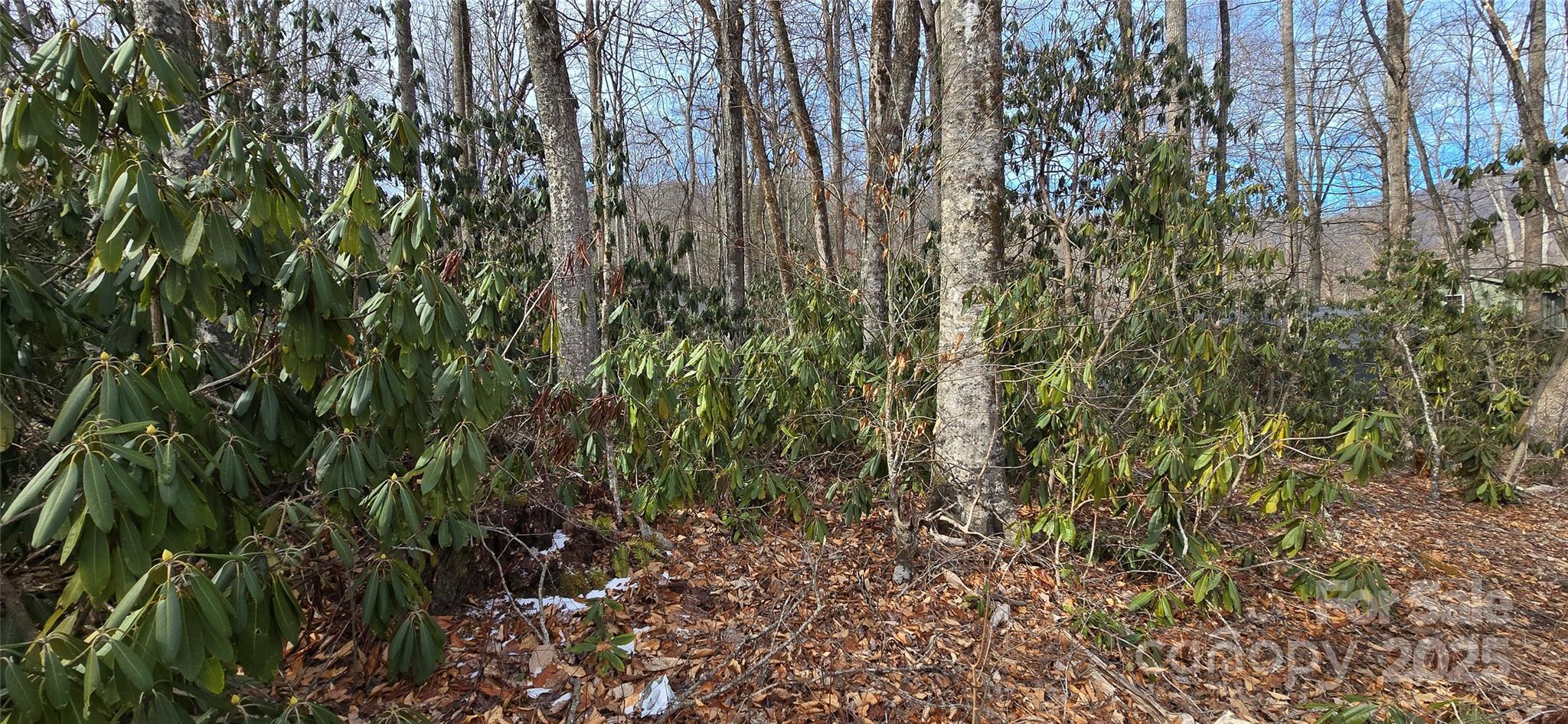 Lot 42 Twinbrook Lane Property Photo 8