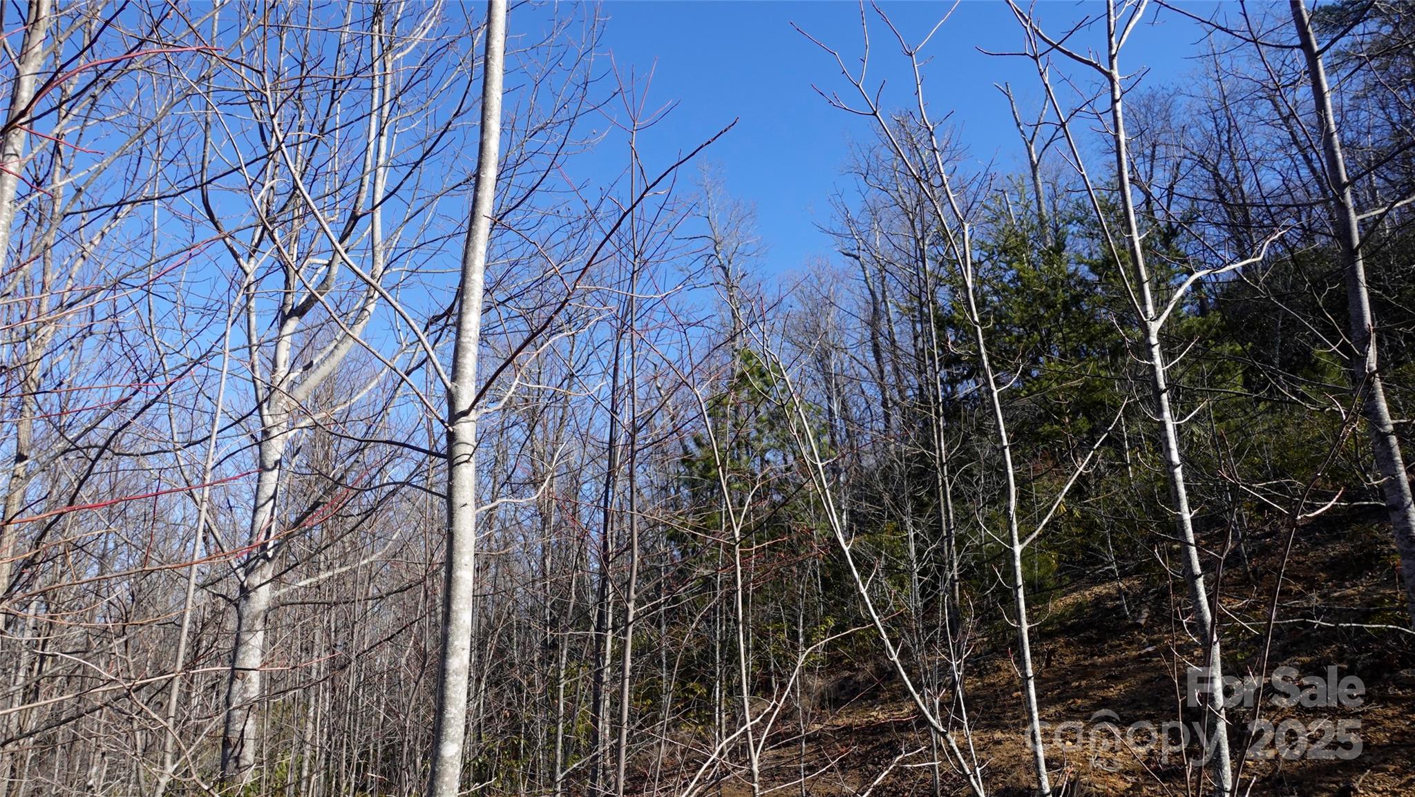 62 Stone Brook Trail 10 Property Photo