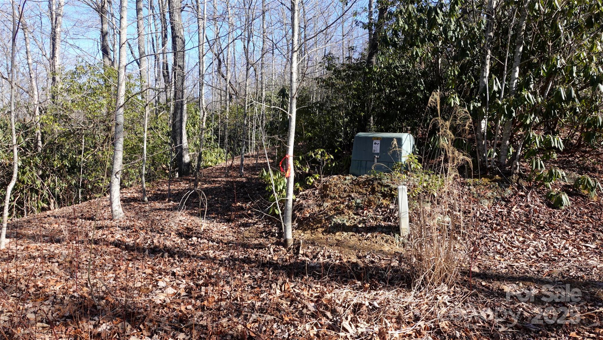 62 Stone Brook Trail 10 Property Photo 2