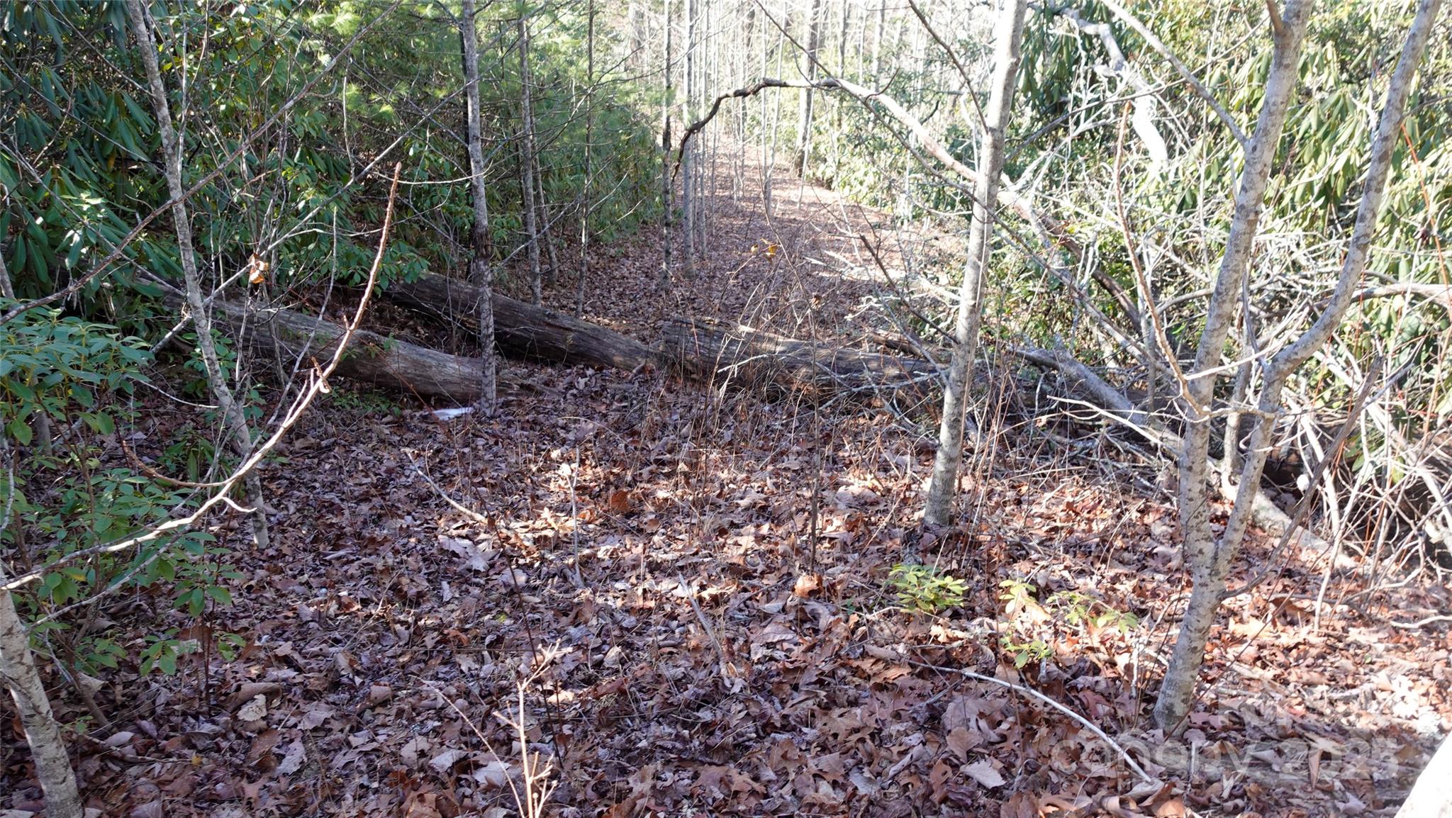62 Stone Brook Trail 10 Property Photo 3