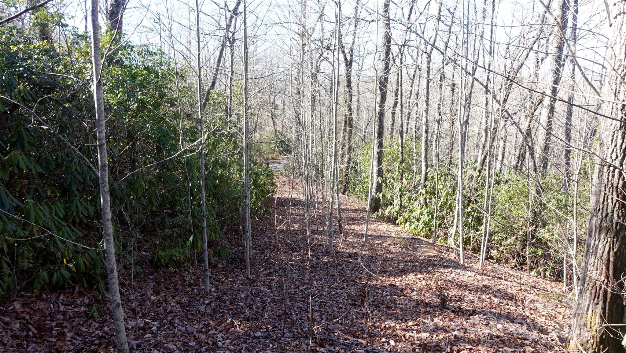 62 Stone Brook Trail 10 Property Photo 4